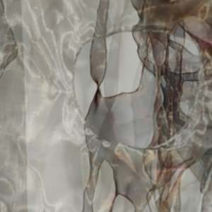 between shadow and substance : uncertain knowing by Alysn Midgelow-Marsden, Image 2.