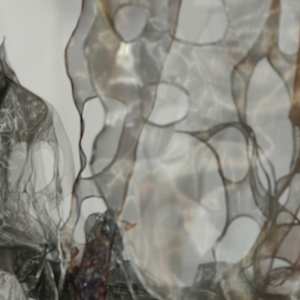 between shadow and substance : uncertain knowing by Alysn Midgelow-Marsden, Image 3.