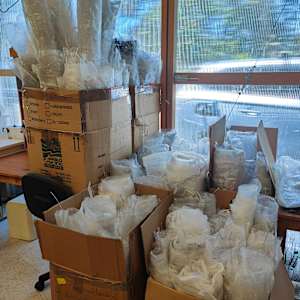 Fluid Becoming ... Choice by Alysn Midgelow-Marsden 