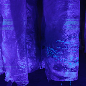 Fluid Becoming ... Choice by Alysn Midgelow-Marsden 