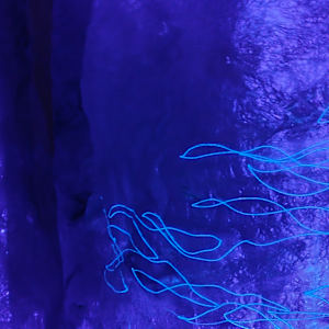 Fluid Becoming ... Choice by Alysn Midgelow-Marsden 