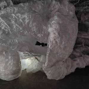 Fluid becoming ... Inertia by Alysn Midgelow-Marsden 