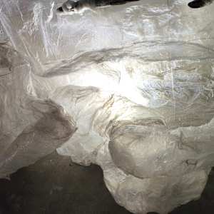 Fluid becoming ... Inertia by Alysn Midgelow-Marsden 