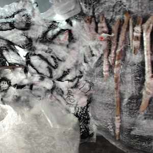 Fluid becoming ... Inertia by Alysn Midgelow-Marsden 