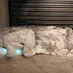 Fluid becoming ... Inertia by Alysn Midgelow-Marsden 