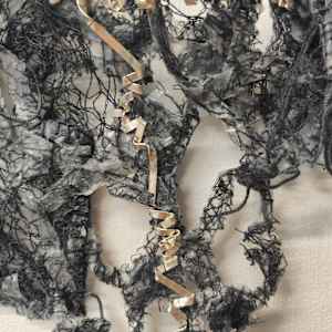 Belief Distortion by Alysn Midgelow-Marsden 