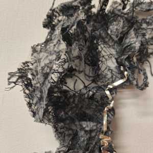 Belief Distortion by Alysn Midgelow-Marsden 