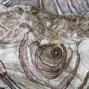 the transmission of accumulated knowledge by Alysn Midgelow-Marsden 