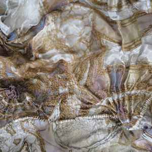 the transmission of accumulated knowledge by Alysn Midgelow-Marsden 