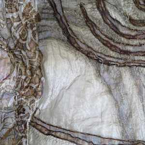 the transmission of accumulated knowledge by Alysn Midgelow-Marsden 