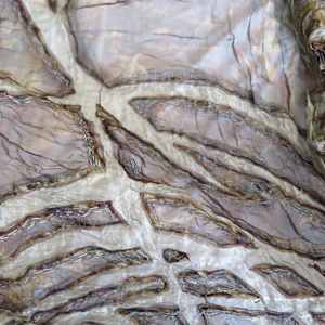 the transmission of accumulated knowledge by Alysn Midgelow-Marsden 