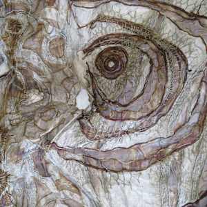 the transmission of accumulated knowledge by Alysn Midgelow-Marsden 