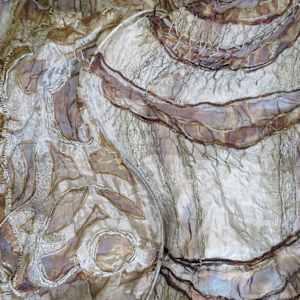 the transmission of accumulated knowledge by Alysn Midgelow-Marsden 