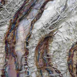 the transmission of accumulated knowledge by Alysn Midgelow-Marsden 