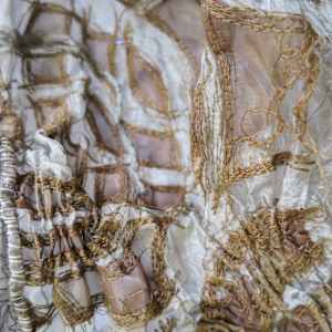 the transmission of accumulated knowledge by Alysn Midgelow-Marsden 