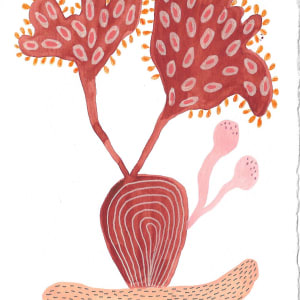 Seed Pod by kelly mccallum