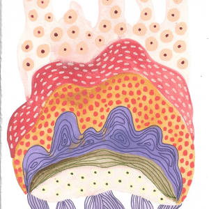 Seed Pod by kelly mccallum