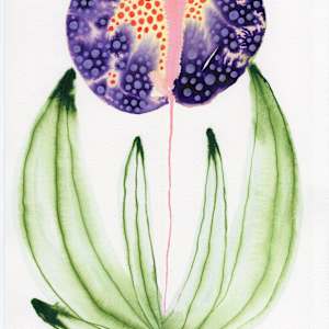 Single Flower Botanical by kelly mccallum