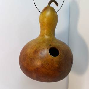 Birdhouse Gourds by Lisa Amport  Image: Birdhouses created from gourds.  