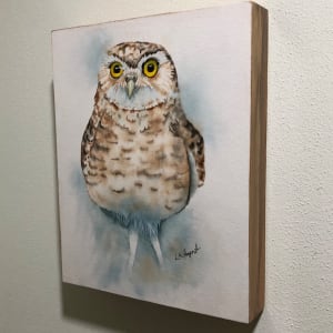 Little Owl by Lisa Amport 