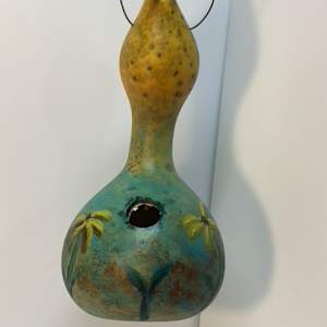 Birdhouse Gourds by Lisa Amport 