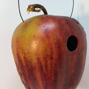Birdhouse Gourds by Lisa Amport 