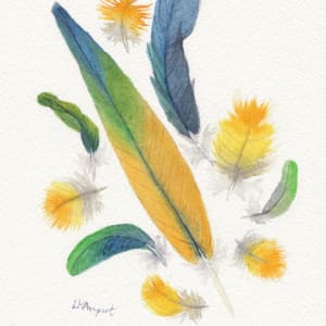 Oscar's Feathers by Lisa Amport