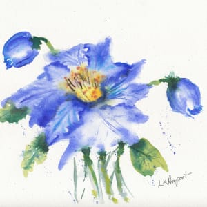 Blue Poppy by Lisa Amport