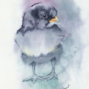 Chick by Lisa Amport