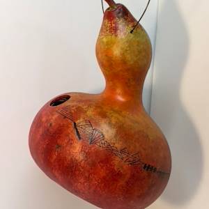Birdhouse Gourds by Lisa Amport 