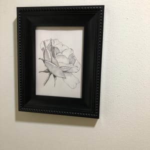 Ink White Rose by Lisa Amport 