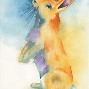 Curious Rabbit by Lisa Amport