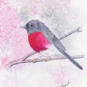 Rose Robin 2 by Lisa Amport