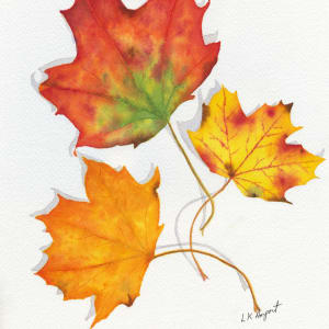 Leaves 2 by Lisa Amport