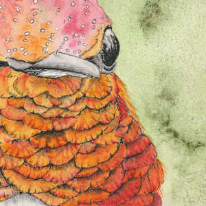 Orange Bird by Lisa Amport