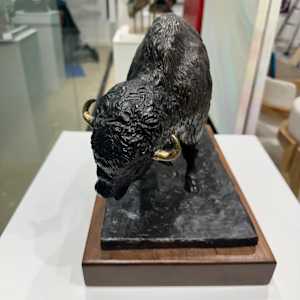 Bison by Larry Solomon 