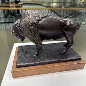 Bison by Larry Solomon 