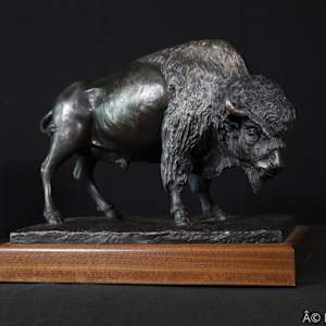 Bison by Larry Solomon