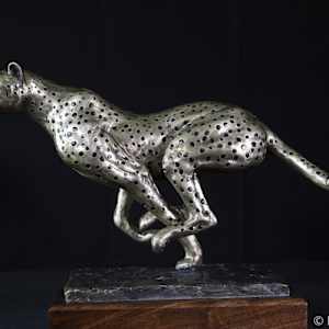 Cheetah by Larry Solomon
