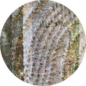 Cashel Ireland 1 by Marilyn Henrion 