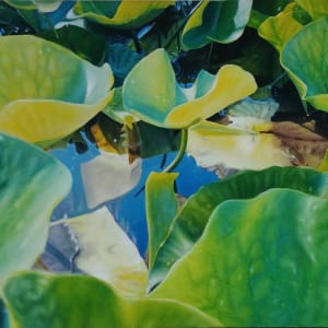 Lily Pads #3 by Richard Michael Delaney