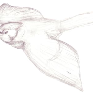Blue Jays by Richard Michael Delaney  Image: One of the developmental sketches made during the creative process, but ultimately, not used in the final piece.   