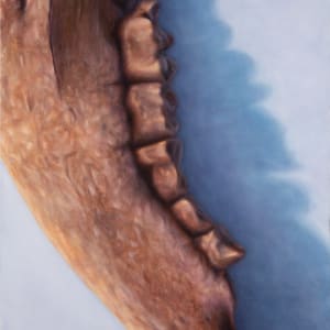 Buffalo Jaw by Richard Michael Delaney