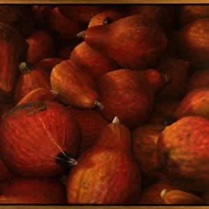 Squash by Richard Michael Delaney  Image: In frame. 