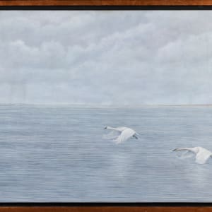 Swans at Long Point by Richard Michael Delaney  Image: In the frame.