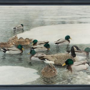 Ducks and Goose in Winter by Richard Michael Delaney  Image: In frame.