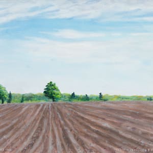 Ploughed Field by Richard Michael Delaney