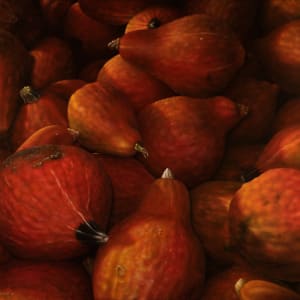 Squash by Richard Michael Delaney