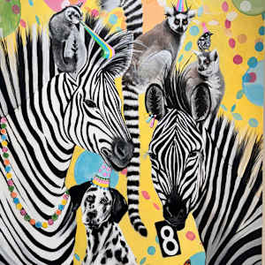 Mixed Nuts by Emma Ward 