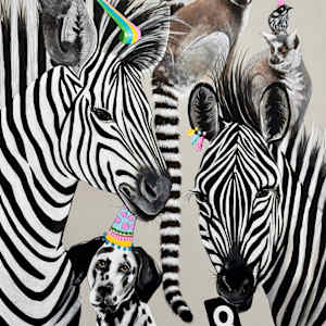 Mixed Nuts by Emma Ward 